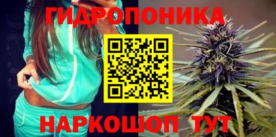 гашик Заволжье