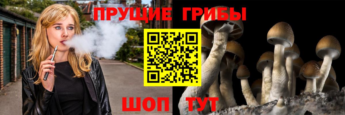 Псилоцибиновые грибы MAGIC MUSHROOMS Йошкар-Ола